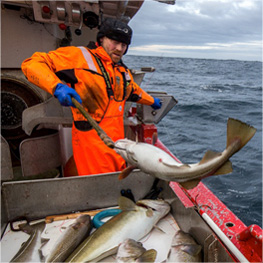 fisch_iversen.jpg