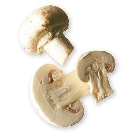 Champignons in Scheiben, gefriergetrocknet - Engel